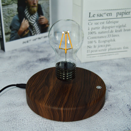 Floating Bulb Lamp