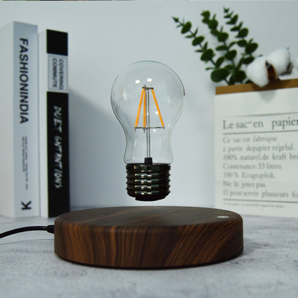 Floating Bulb Lamp