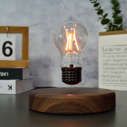 Floating Bulb Lamp