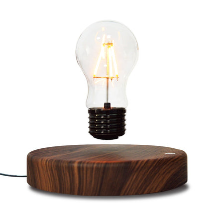 Floating Bulb Lamp