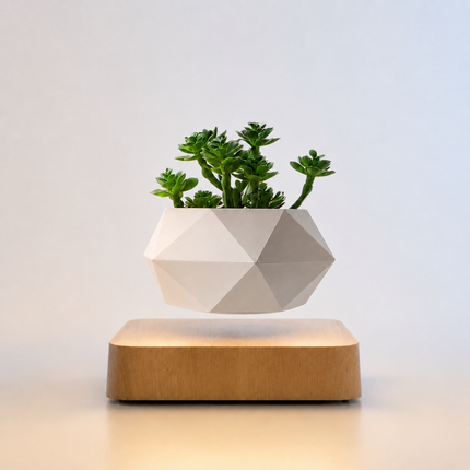 Levitating Bonsai